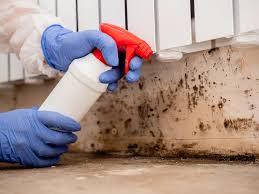  Singac, NJ Mold Removal Pros